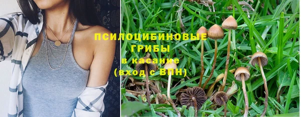 PSILOCYBIN Армянск
