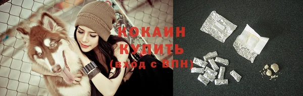 PSILOCYBIN Армянск