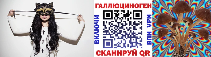 цена наркотик  Сергач  Псилоцибиновые грибы мицелий 